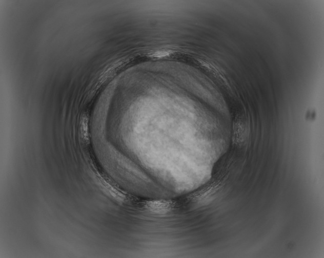 X0000088860238200706291525