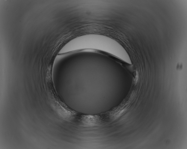 X0000088860239200706291525