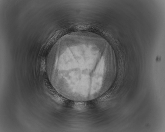 X0000088860240200706291525