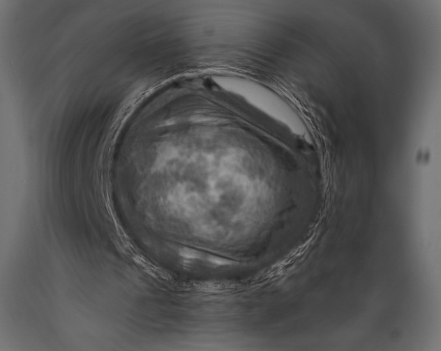 X0000088860241200706291524