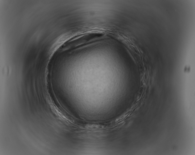 X0000088860242200706291524