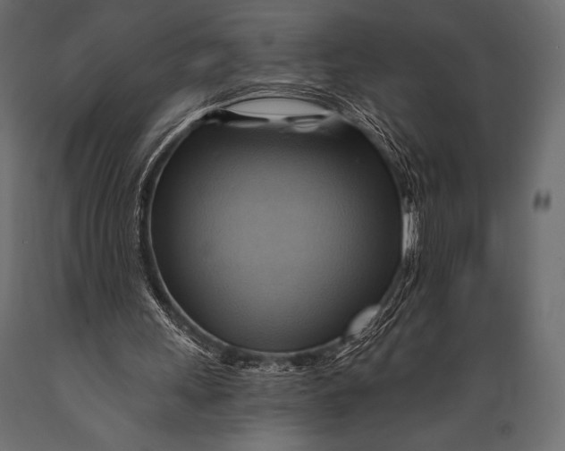 X0000088860243200706291524