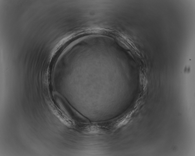 X0000088860244200706291524