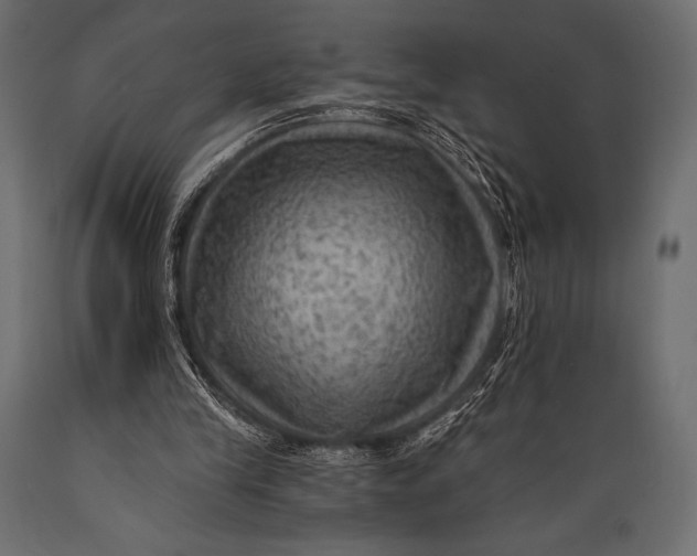 X0000088860245200706291524