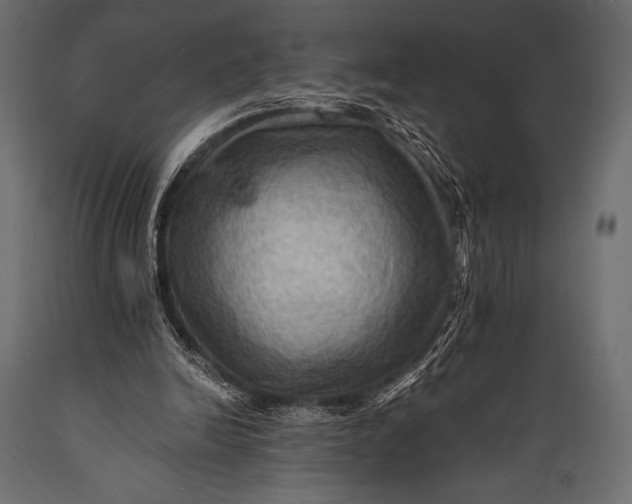 X0000088860246200706291524