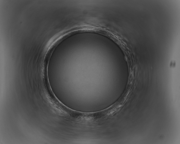 X0000088860247200706291524