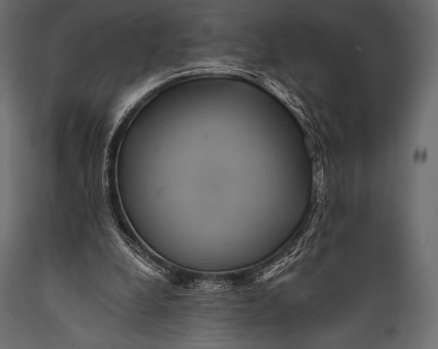 X0000088860248200706291524