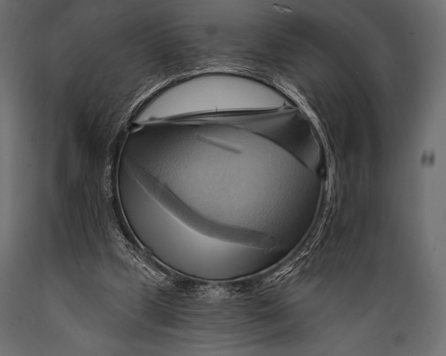 X0000088860249200706291524