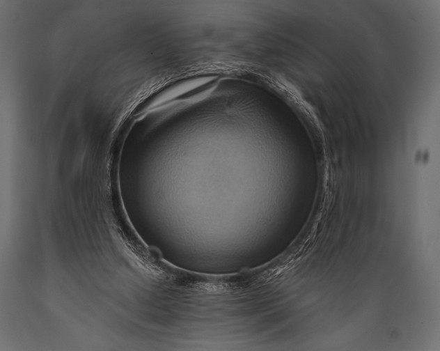 X0000088860250200706291524