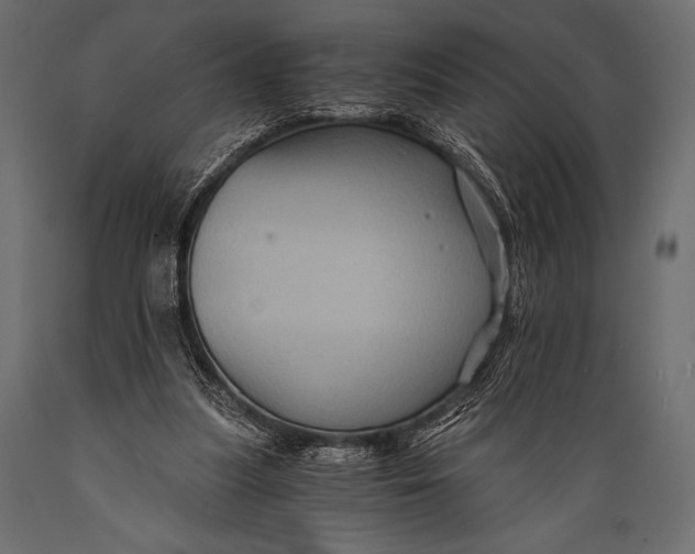 X0000088860251200706291524