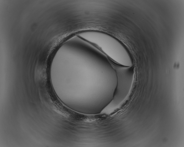 X0000088860252200706291524