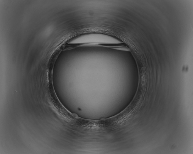 X0000088860254200706291524