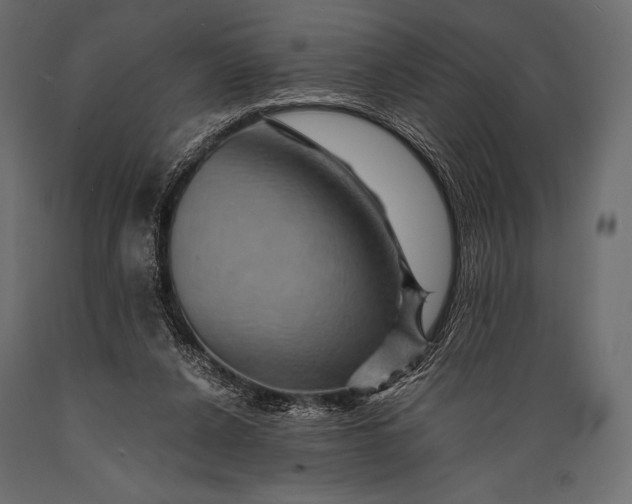 X0000088860256200706291524