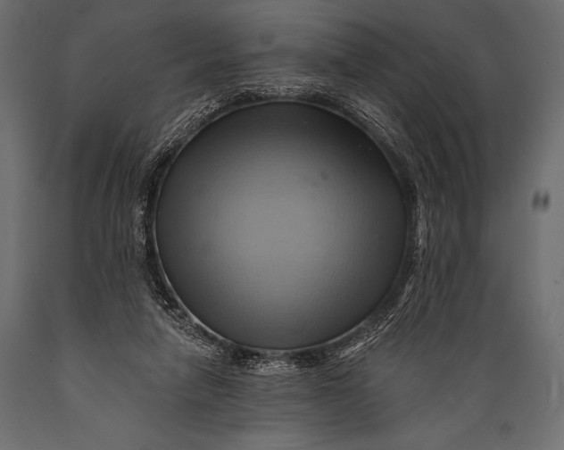 X0000088860258200706291524