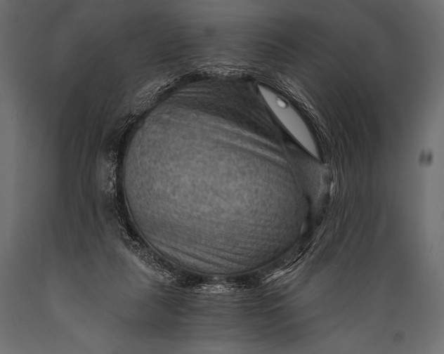 X0000088860259200706291524