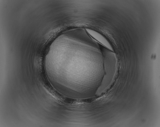 X0000088860260200706291524