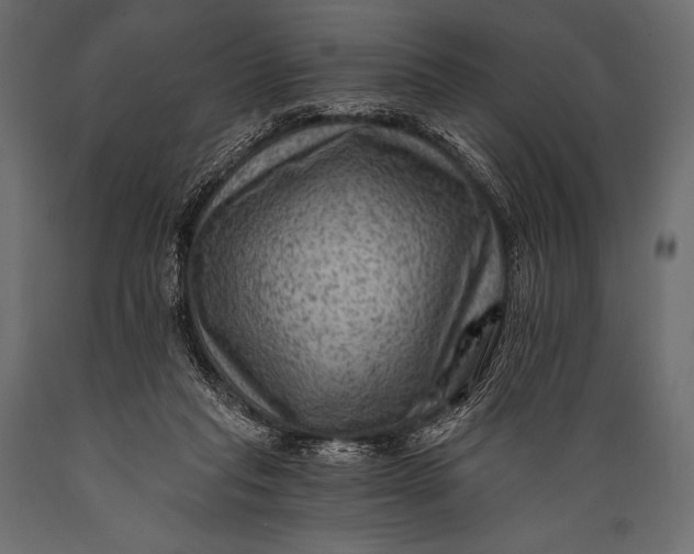 X0000088860261200706291524