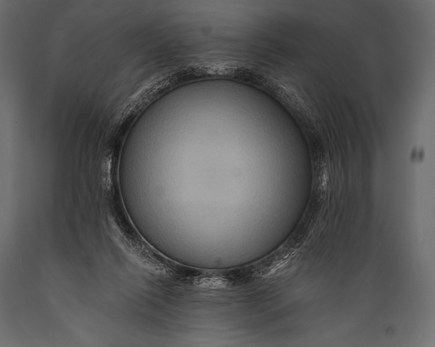 X0000088860262200706291524