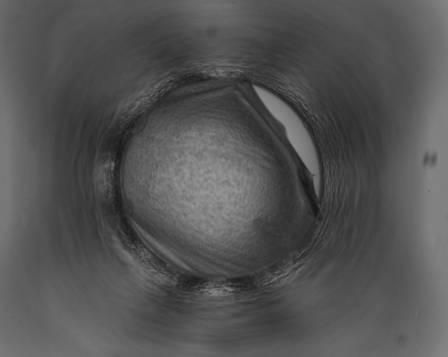 X0000088860263200706291524