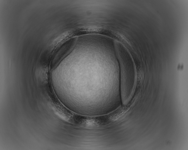 X0000088860264200706291524