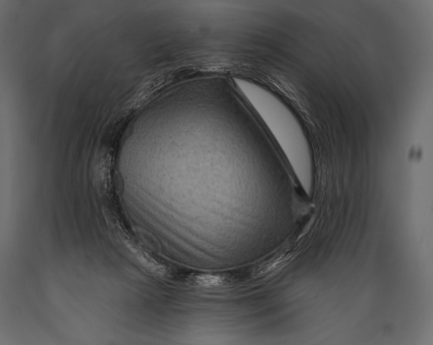 X0000088860265200706291524