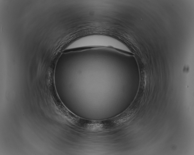 X0000088860266200706291524