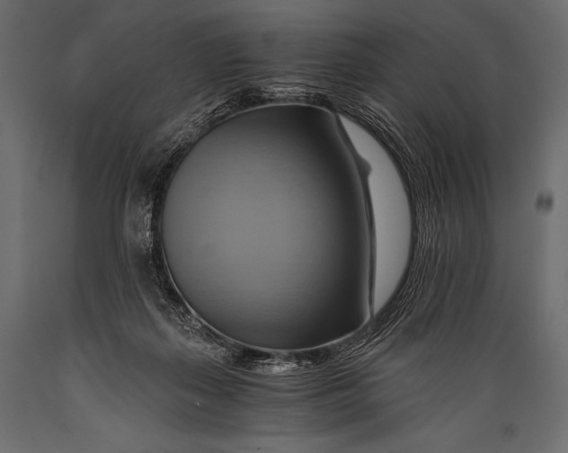 X0000088860267200706291524