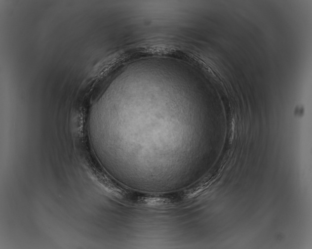 X0000088860268200706291524