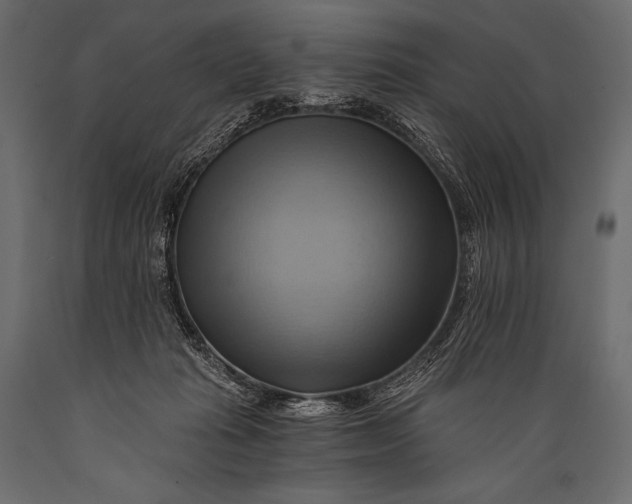 X0000088860269200706291524