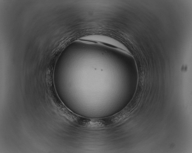 X0000088860270200706291524