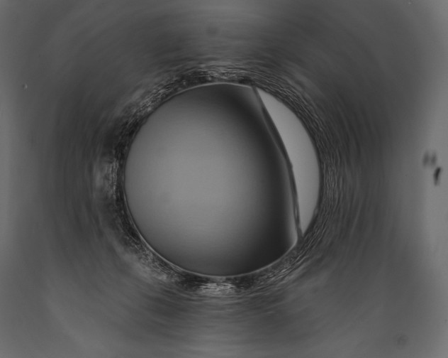 X0000088860271200706291524