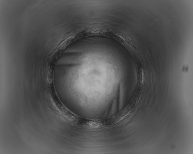 X0000088860272200706291524