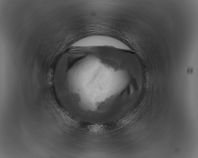 X0000088860273200706291524