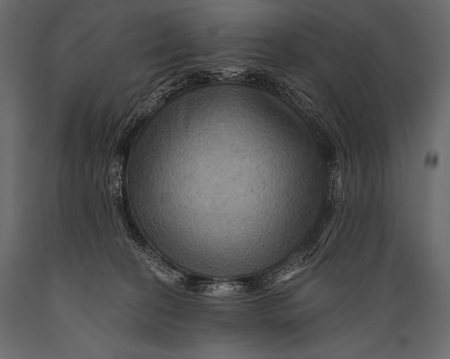 X0000088860274200706291524