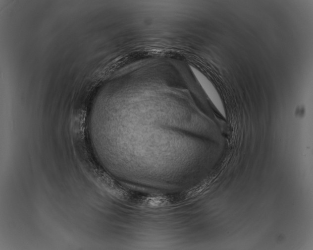 X0000088860275200706291524