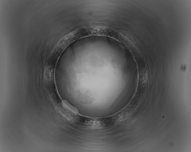 X0000088860276200706291524