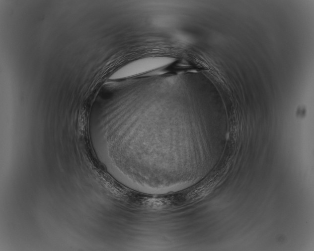 X0000088860277200706291524