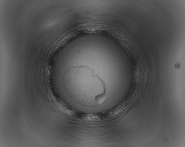 X0000088860278200706291524