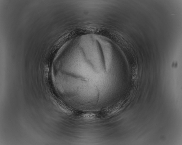 X0000088860279200706291524