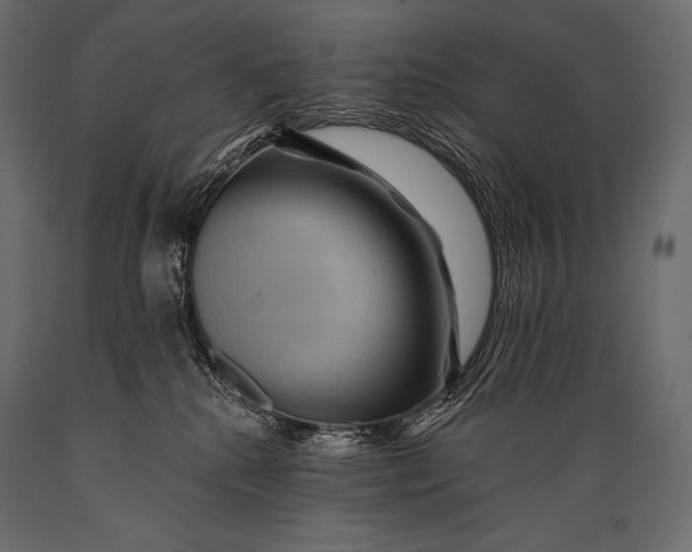 X0000088860280200706291524