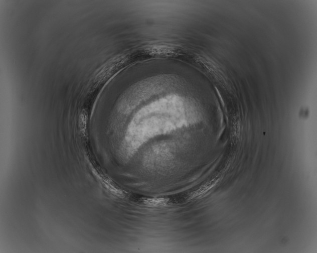 X0000088860281200706291525