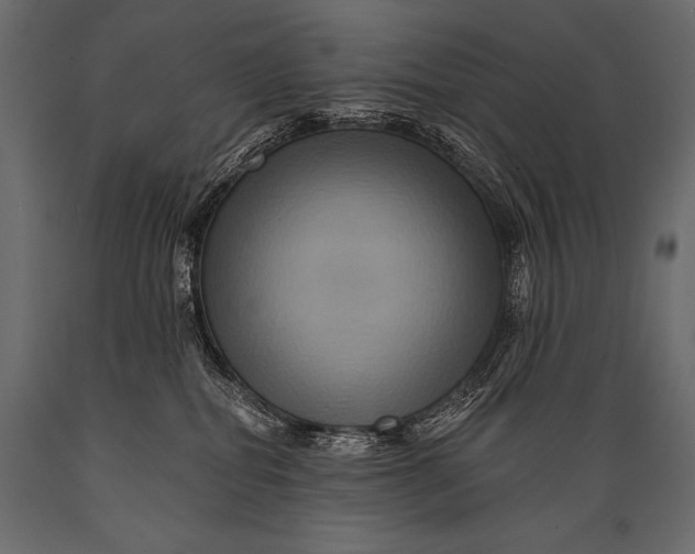 X0000088860282200706291525