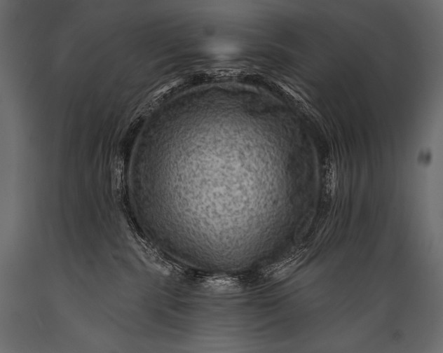 X0000088860283200706291525