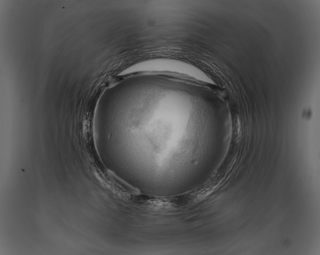 X0000088860284200706291525