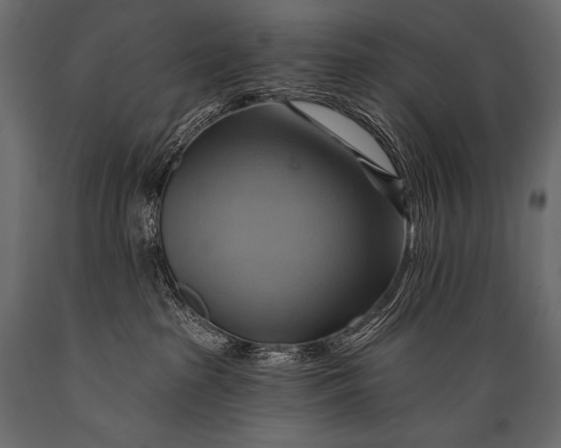 X0000088860285200706291525