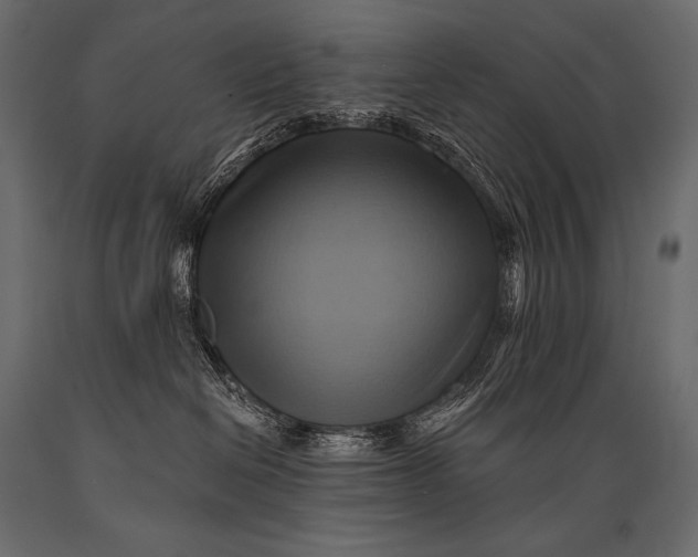 X0000088860286200706291525