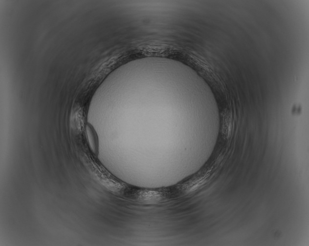 X0000088860287200706291525