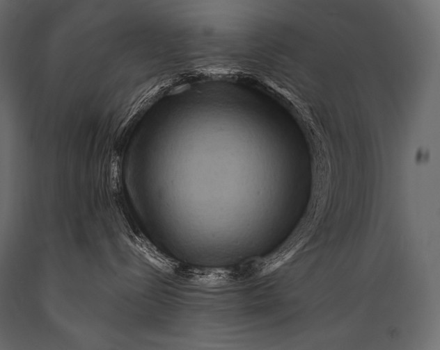 X0000088860288200706291525