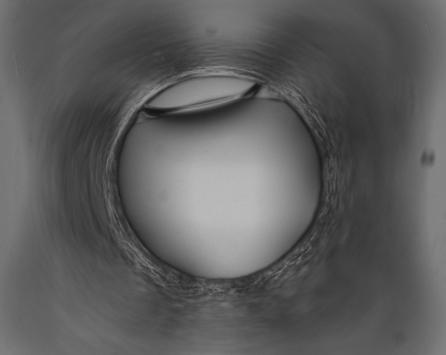 X0000088860289200706291524