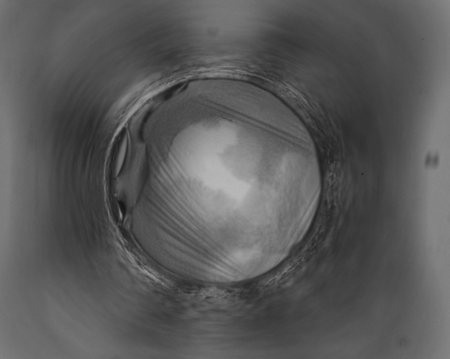 X0000088860290200706291524